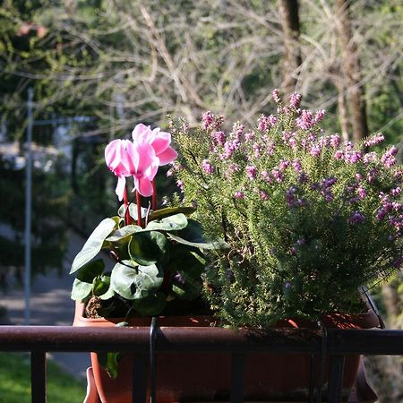 B&B I Ghiri Bergamo Zewnętrze zdjęcie