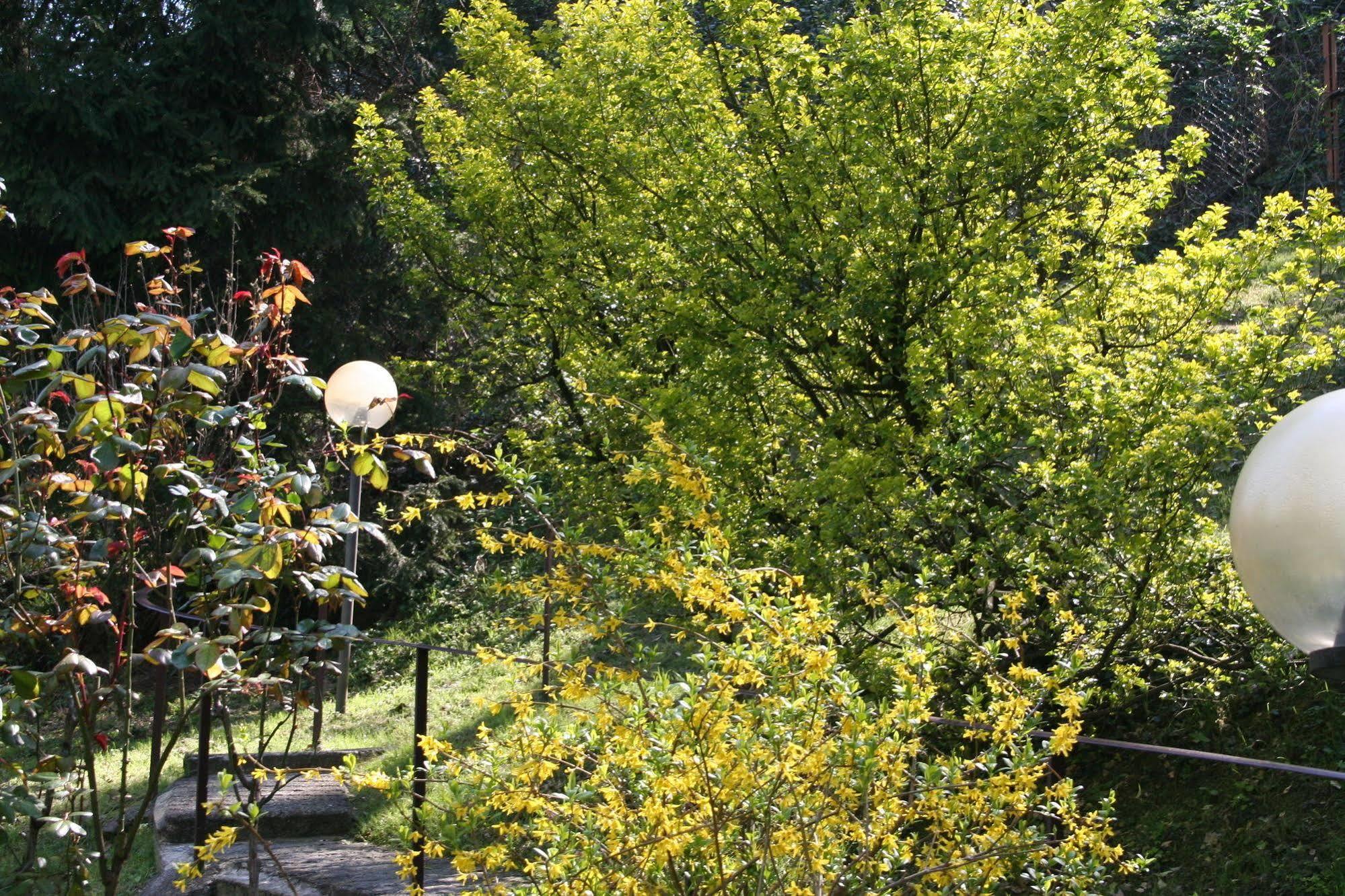 B&B I Ghiri Bergamo Zewnętrze zdjęcie