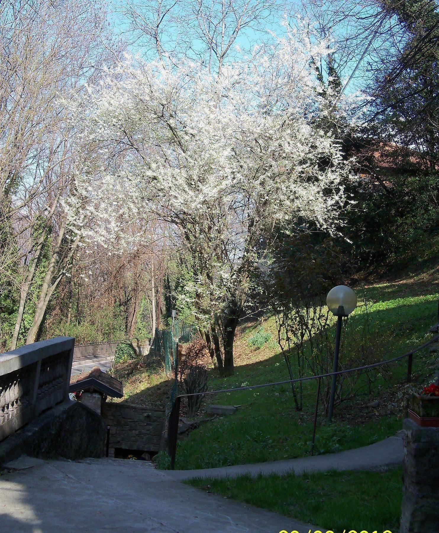 B&B I Ghiri Bergamo Zewnętrze zdjęcie
